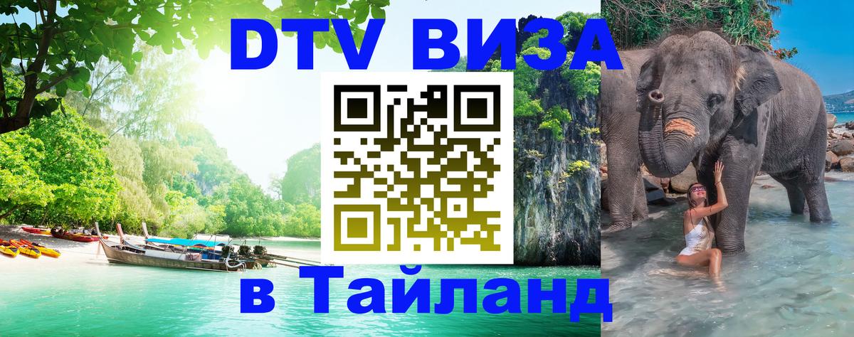 Оформление DTV визы под ключ: стоимость и тарифы, только загранпаспорт - 05.12.2025 